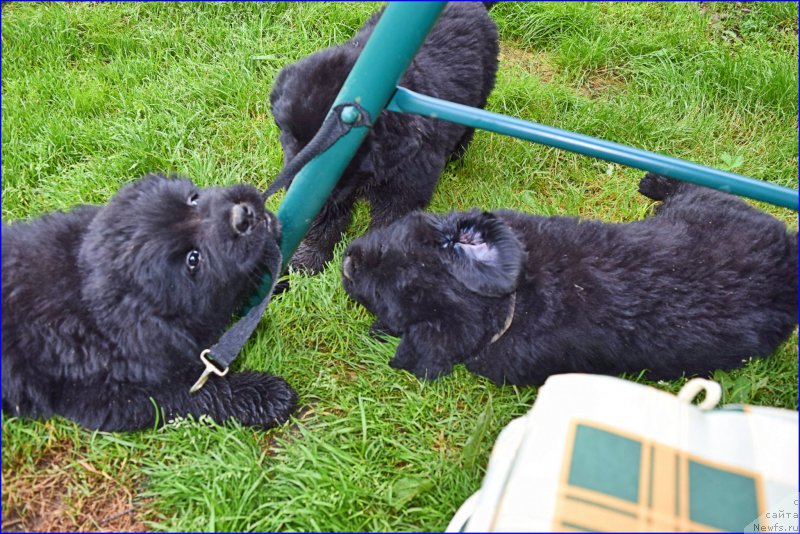 Фотография № 228331