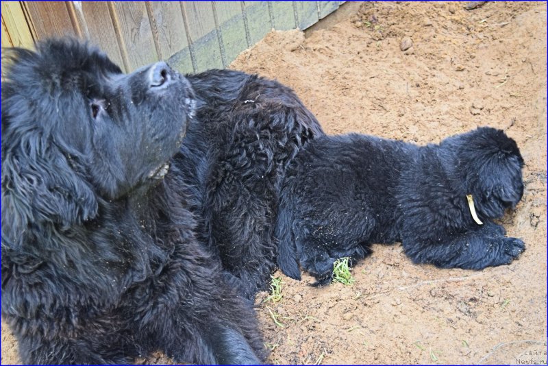 Фотография № 228337