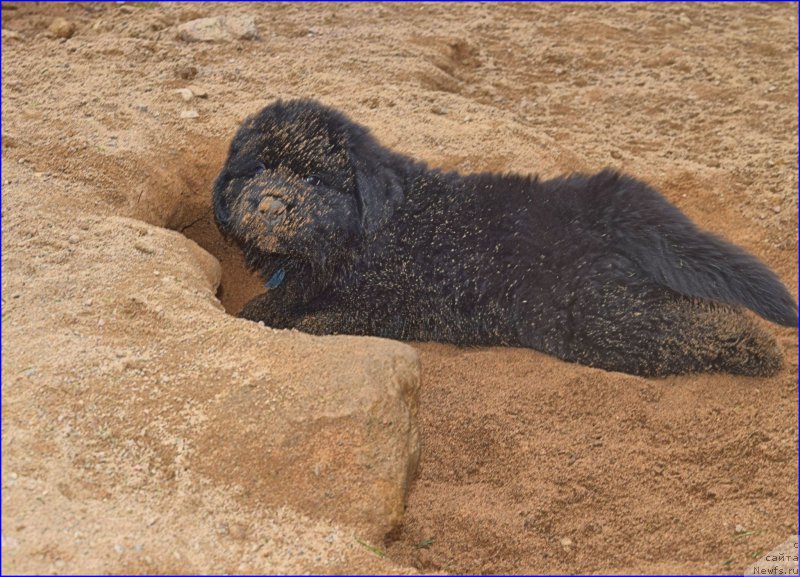 Фотография № 228341