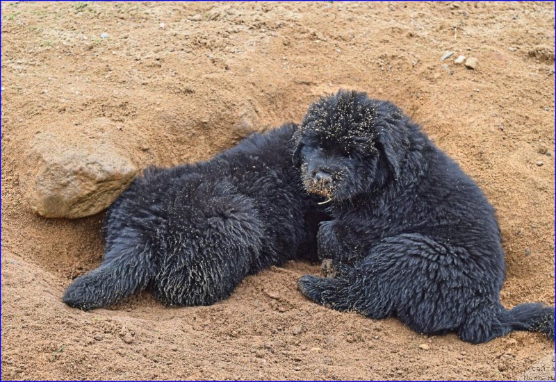 Фотография № 228342