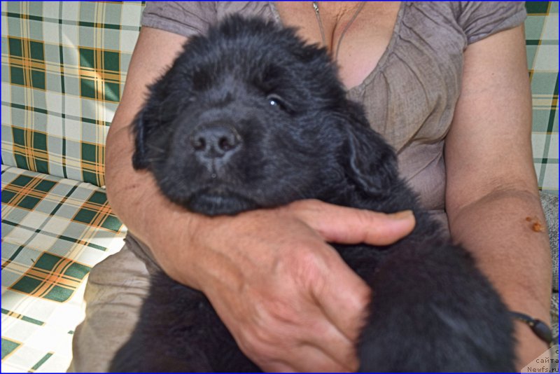 Фотография № 228347