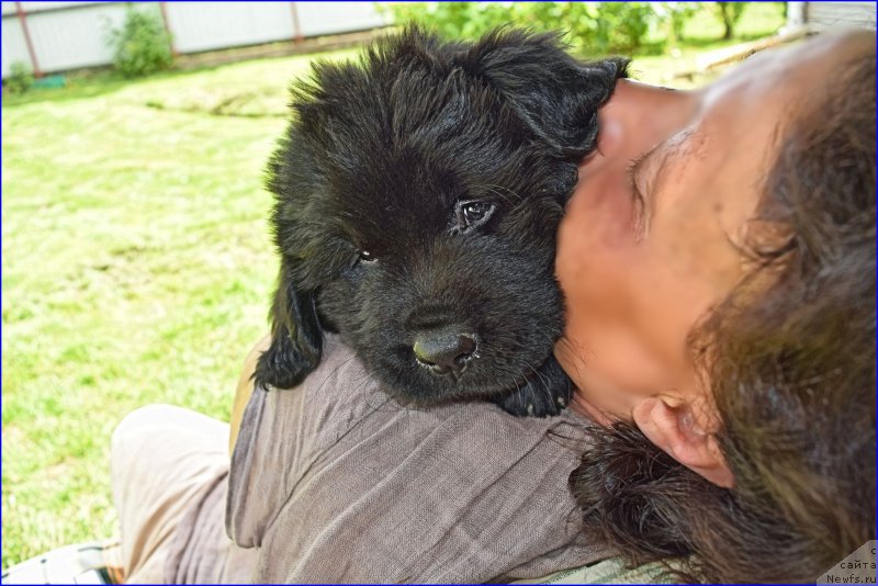 Фотография № 228348