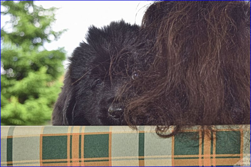 Фотография № 228351