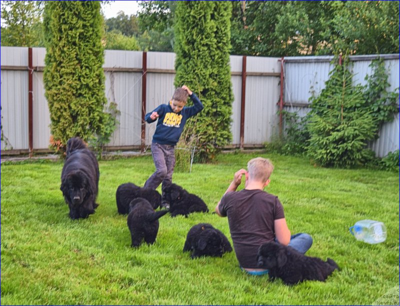 Фотография № 228357