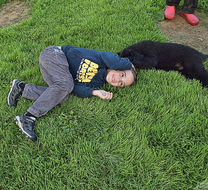 Фотография № 228358