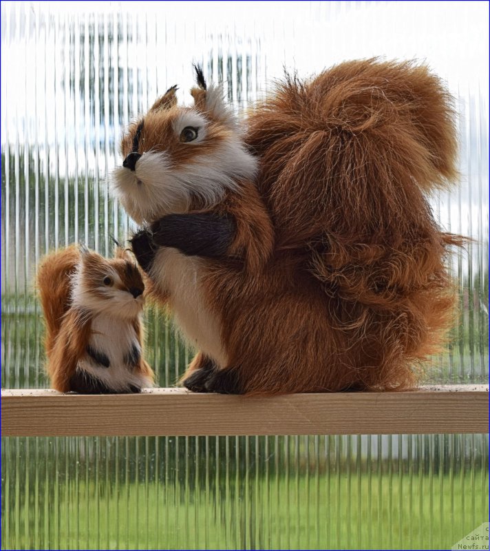 Фотография № 228370