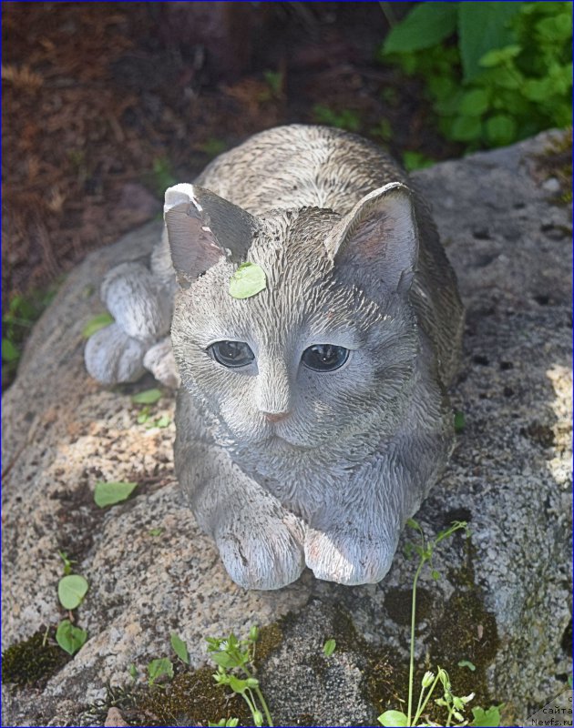 Фотография № 228373