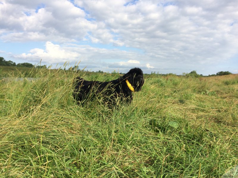 Фотография № 228379