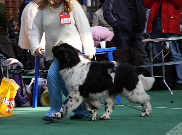 Фотография № 22838