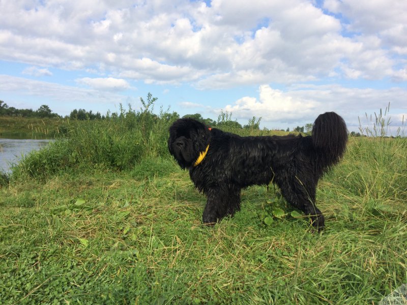 Фотография № 228380