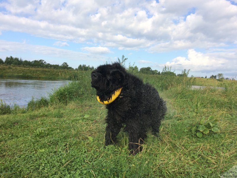 Фотография № 228381