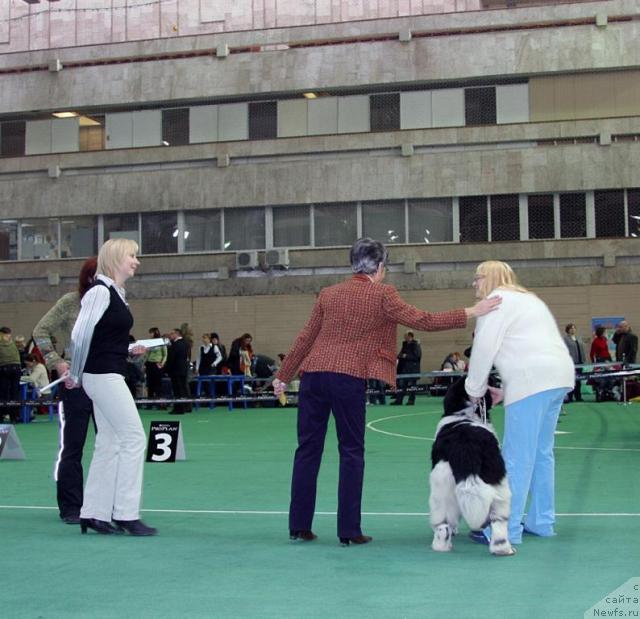 Фотография № 22839