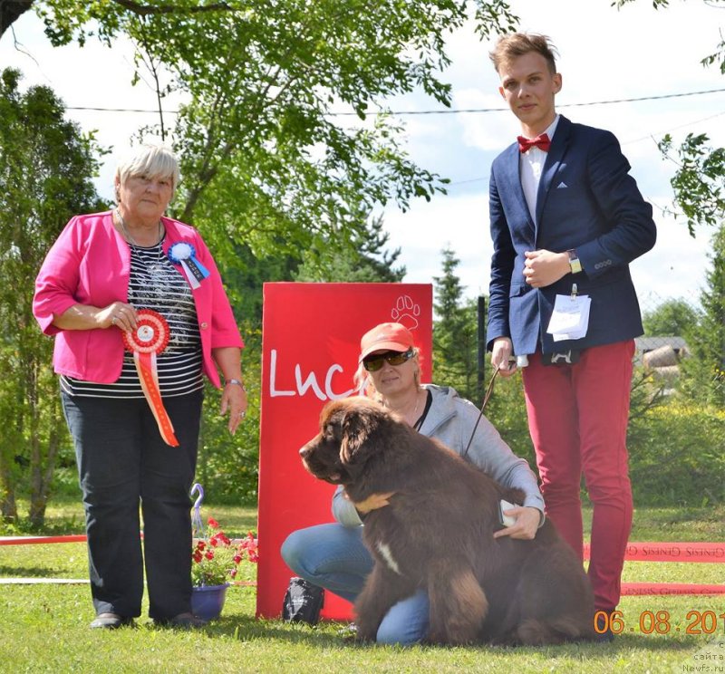 Фото: judge :Best group-2 - Olga Dolejsova. Czech Republic, ньюфаундленд Brownblood MSK Alpina Guardian Soul (Браунблад МСК Альпина Гуардиан Соул)