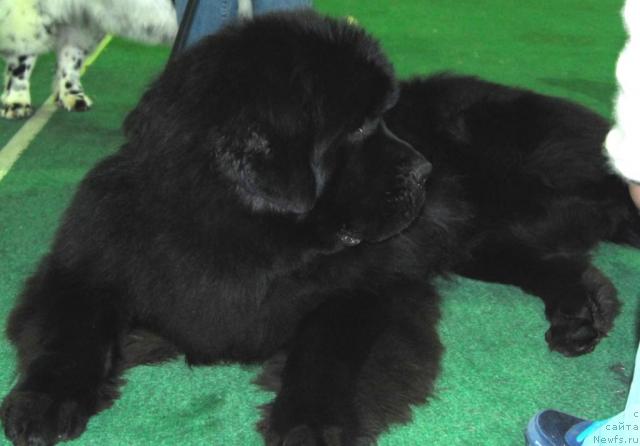 Фотография № 22841