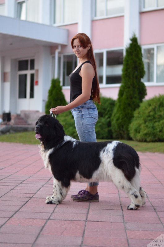 Фотография № 228415