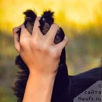 Фотография № 228421