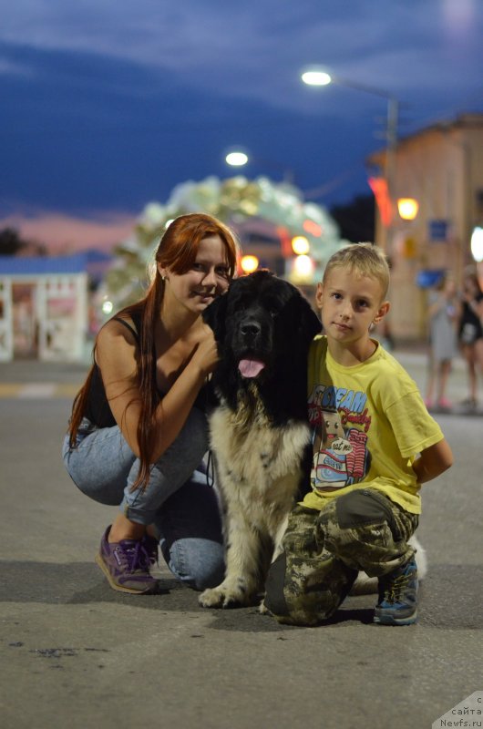 Фотография № 228422