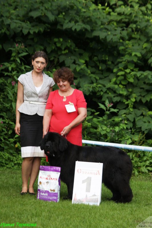 Фотография № 228440