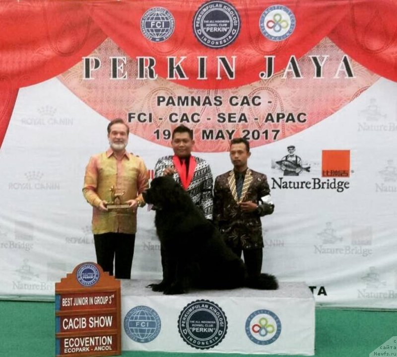 Фотография № 228448