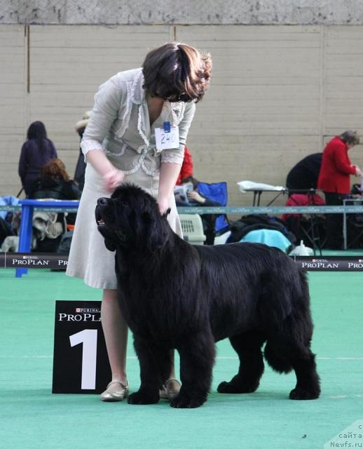 Фотография № 22845