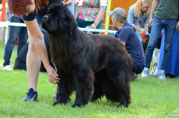 Фотография № 228451