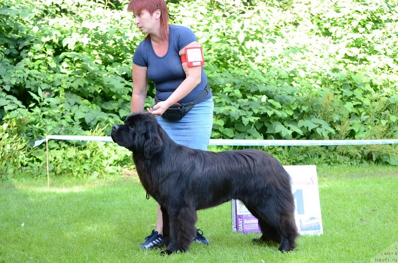 Фотография № 228454