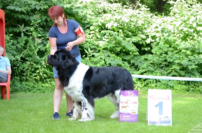 Фотография № 228455