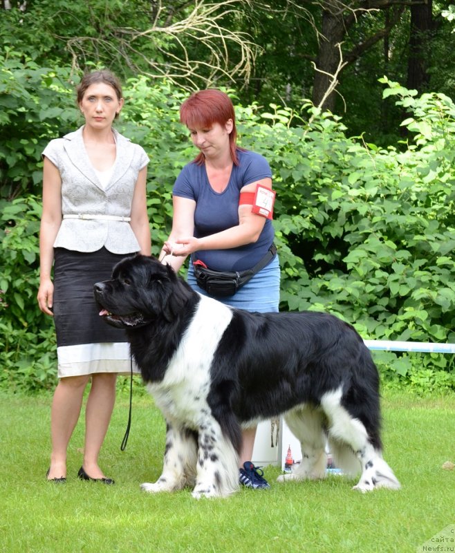 Фотография № 228456