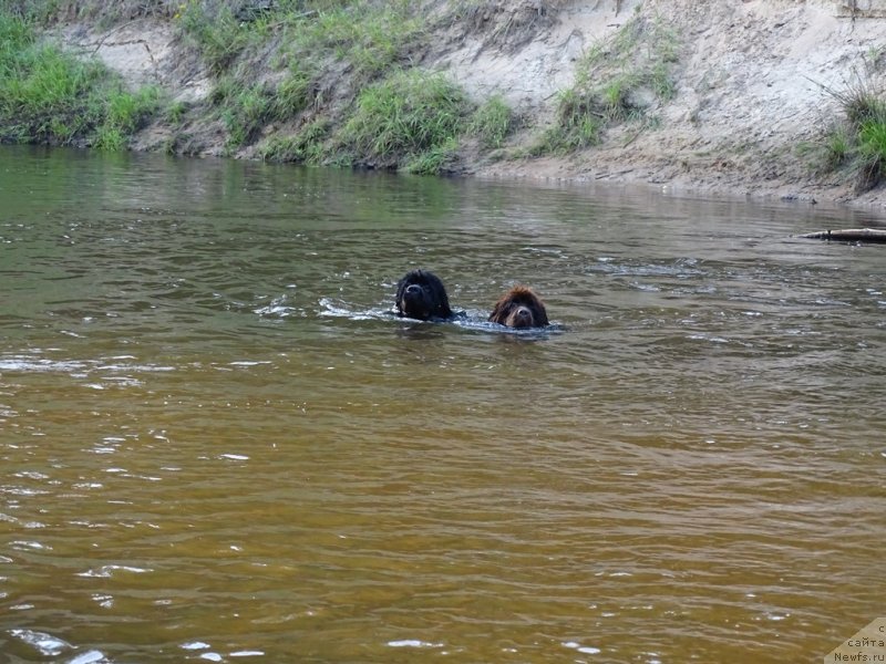 Фотография № 228457