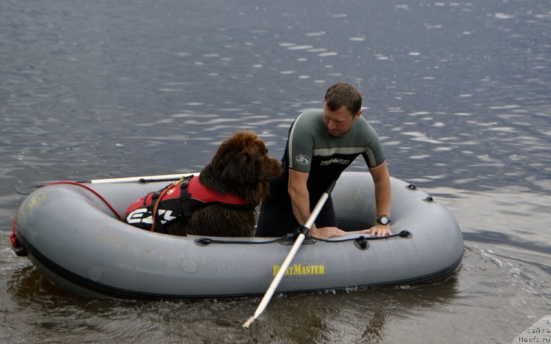 Фотография № 228488