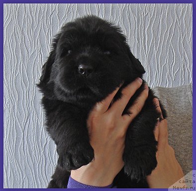 Фотография № 228492