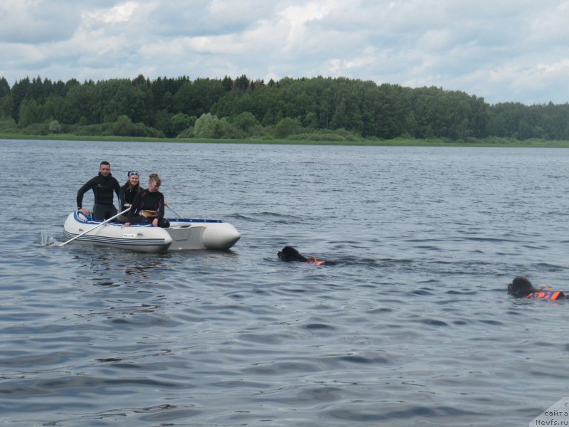 Фотография № 228508