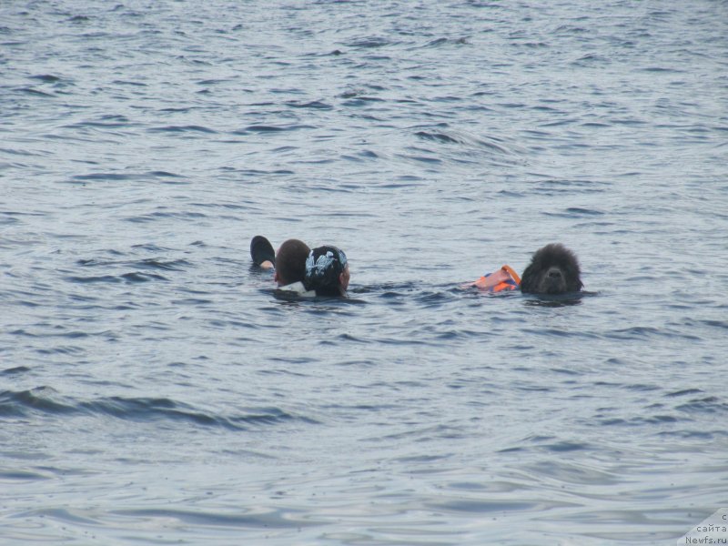 Фотография № 228511