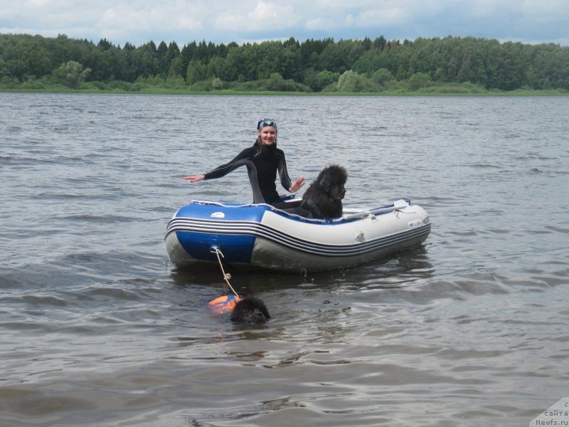 Фотография № 228512