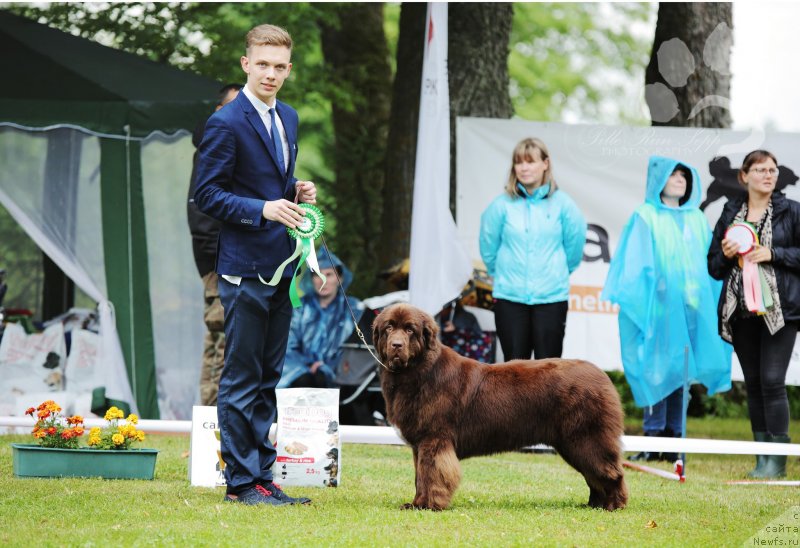 Фотография № 228522