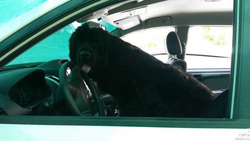 Фотография № 228563