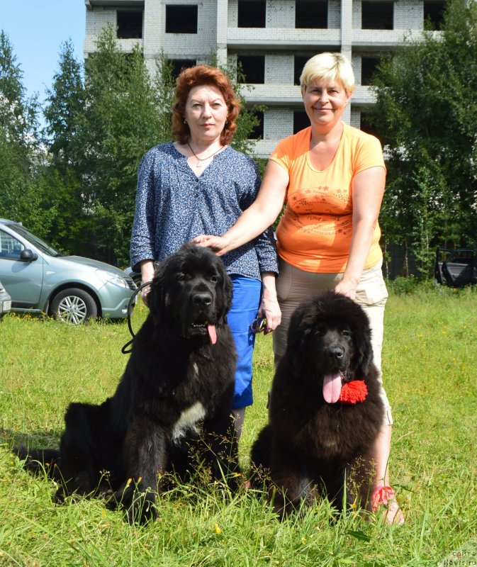 Фотография № 228565