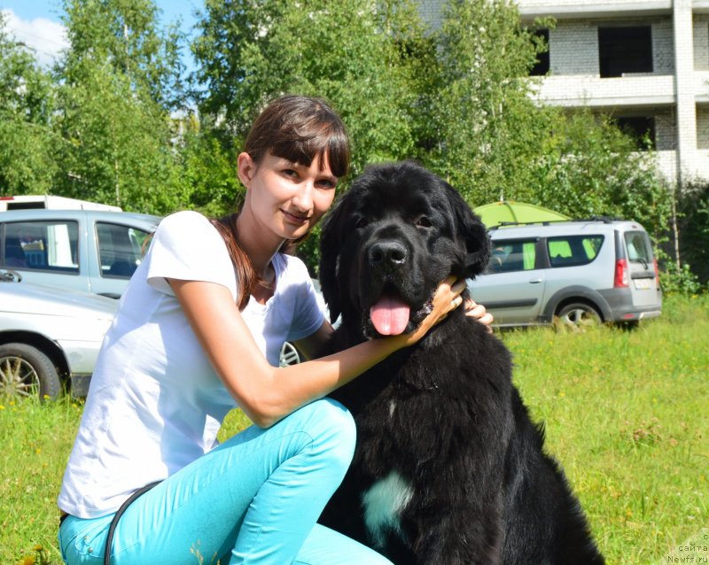 Фото: ньюфаундленд Cherniy Balu Lord-Kantsler (Черный Балу Лорд-Канцлер), Ekaterina Ivanova (Екатерина Иванова)