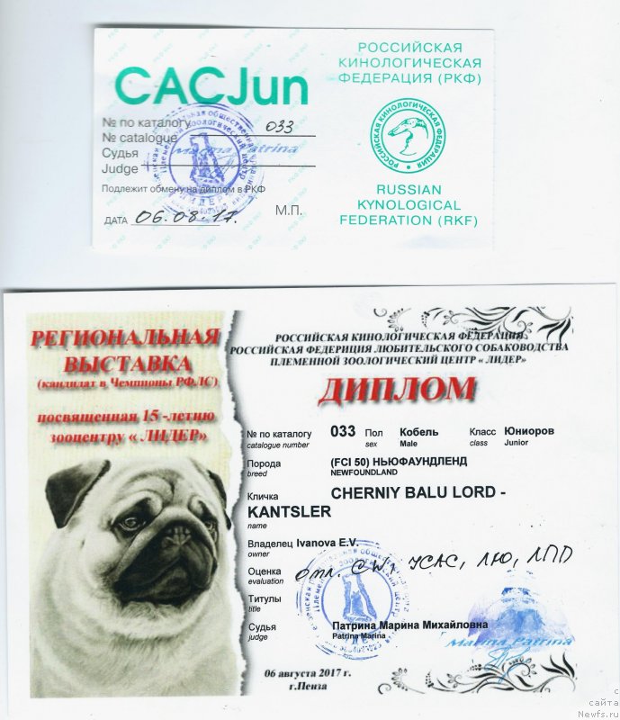 Фотография № 228570