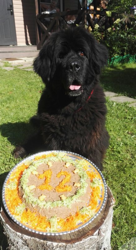 Фотография № 228576