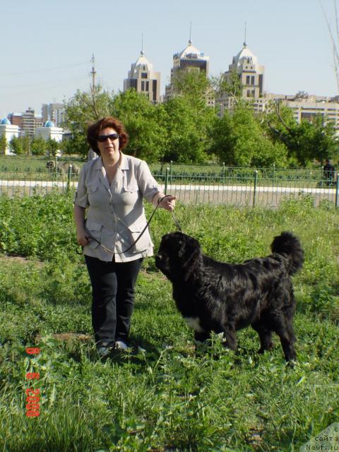 Фото: [p1161]d6411 Маг Исполин Илья Муромец