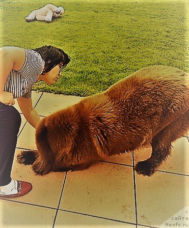 Фотография № 228661