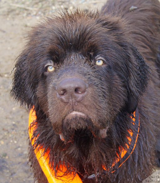 Фотография № 228672