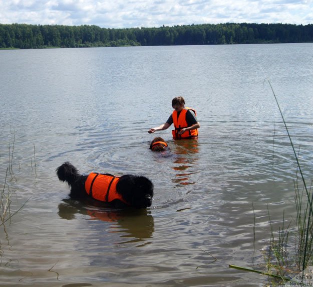 Фотография № 228673