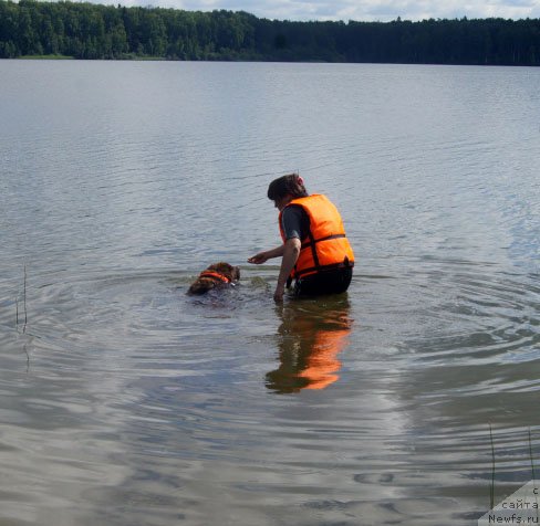 Фотография № 228674