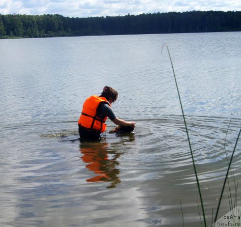 Фотография № 228675