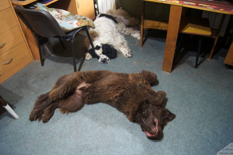 Фотография № 228676