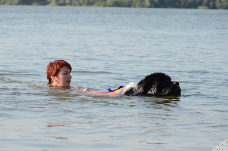 Фото: Mariya Lapina (Мария Лапина), ньюфаундленд Angels Keeper Nibelung (Энджелс Кипер Нибелунг)