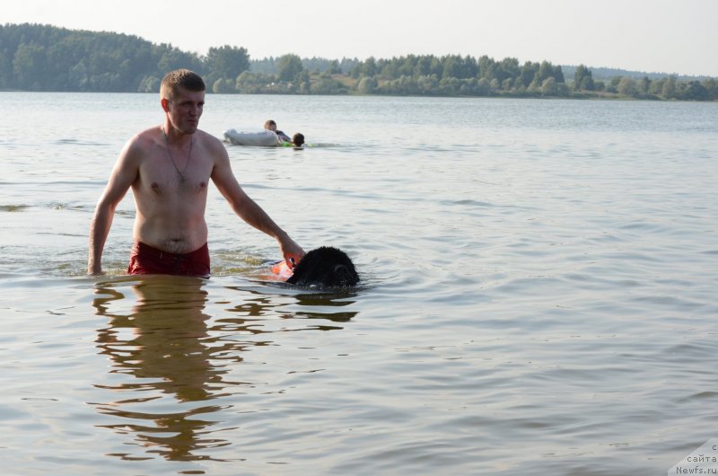 Фото: Dmitriy Martyinov (Дмитрий Мартынов), ньюфаундленд Angels Keeper Nibelung (Энджелс Кипер Нибелунг)