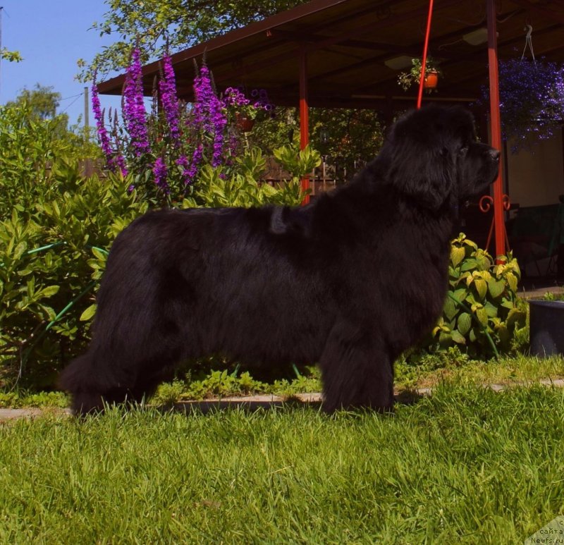 Фотография № 228693